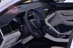 بي واي دي سونغ بلس